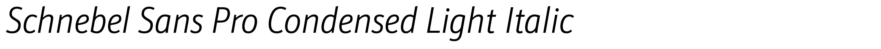 Schnebel Sans Pro Condensed Light Italic